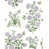 Lavender is out of stock selected