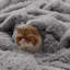 Couvertures en fausse fourrure Cozy Winter Collection-105680400-129402034