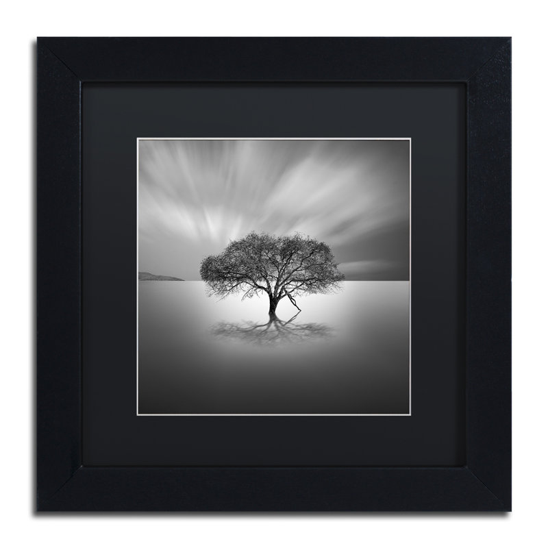 « water tree viii », reproduction de photo sur toile encadrée, H 16 po x l 16 po x P 0,5 po, Noir