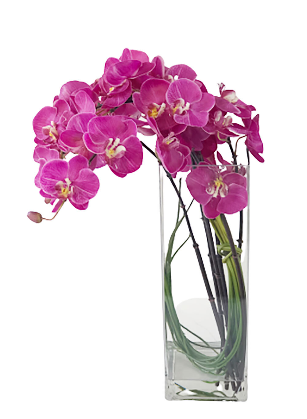 Primrue Polysilk Orchid Arrangement in Vase | Wayfair