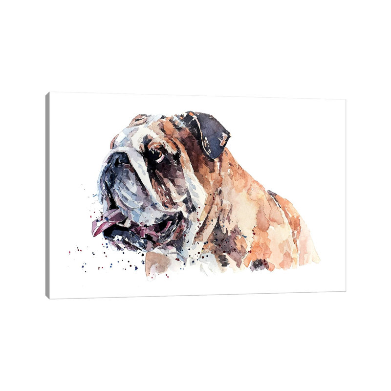 English Bull Dog - Wrapped Canvas Painting, 20.32 cm H x 30.48 cm W