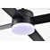 Avamaria 52'' Ceiling Fan with LED Lights