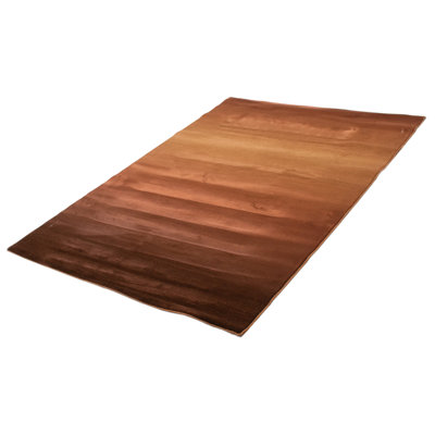 Kaywin Ombre Indoor Rug