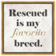 «My Favorite Breed, Rescued Pet Breed Modern», art textuel sur toile-71080562-71080568