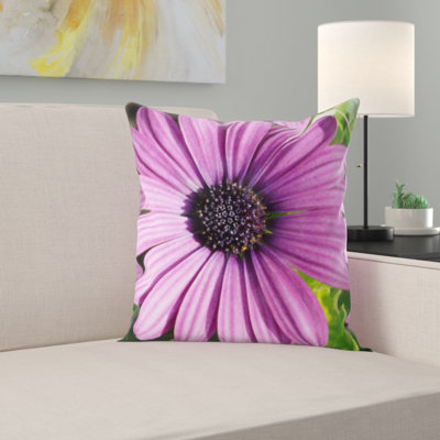 Coussin gerbera