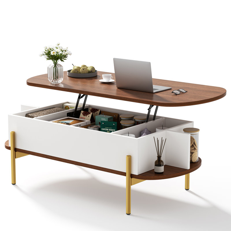 Molter 48" Oval Lift Top Coffee Table With Storage Open Shelf Living Room, Brown/White/Gold