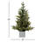 30' Lighted Christmas Tree
