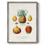 Reproduction encadrée de fruits et légumes V - bois massif-588347760
