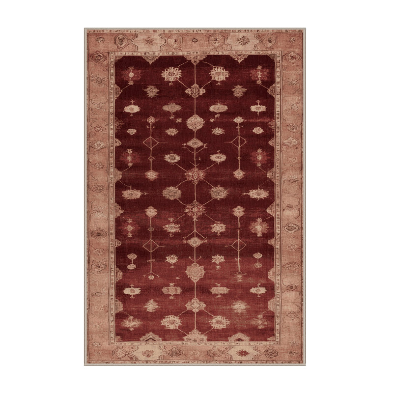 Tapis brun lavable à la machine, Rectangle 5 pi x 7 pi