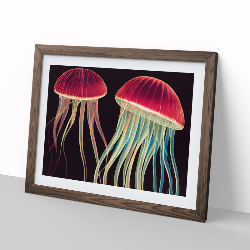 Two Jellyfish - Single Picture Frame Print, 25cm H x 34cm W x 2cm D, Walnut