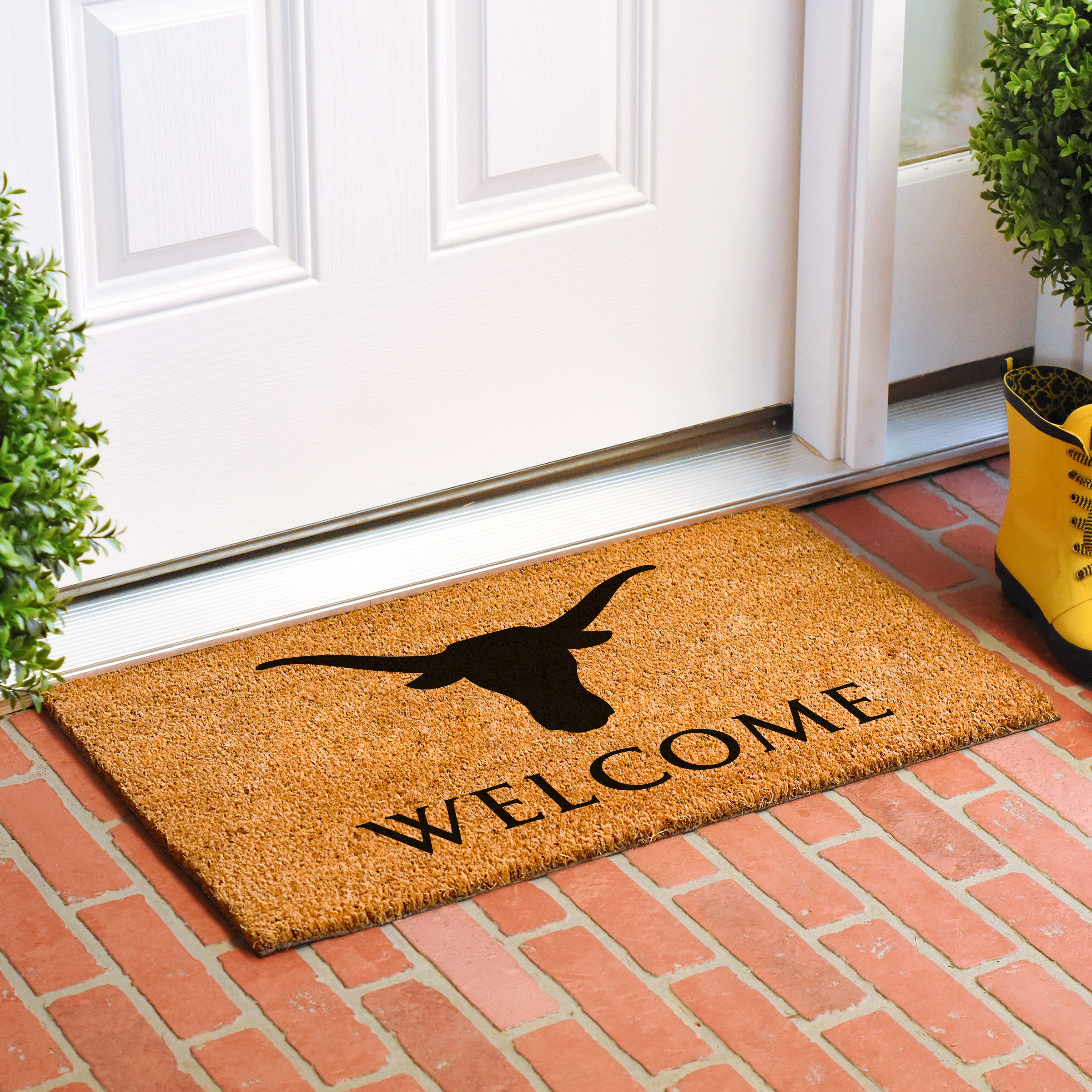 Venxuis Non-Slip Geometric Outdoor Doormat & Reviews