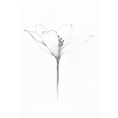 Pencil Floral XI by Avery Tillmon - Wrapped Canvas Print