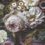 Allure Floral Wallpaper Double Roll