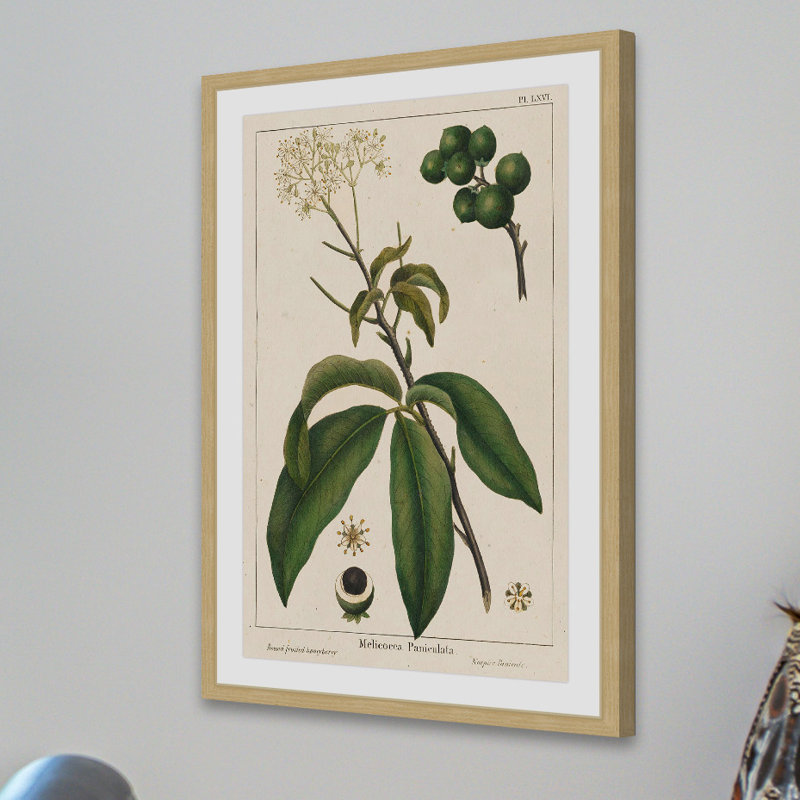 "Honeyberry" Framed Print, 24" H x 16" W x 1.5" D