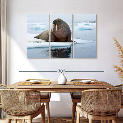 Walrus On Ice