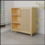 Armoire de rangement à porte simple de grande capacité avec tablettes dans les salons et les salles de bain