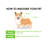 Foldable Pet Jogger Stroller