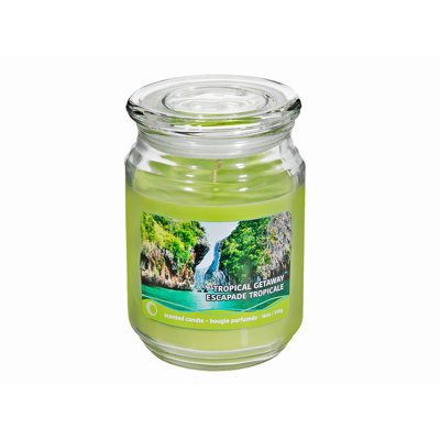 Pot parfumé 18 oz avec couvercle en verre (escapade tropicale) - ensemble de 2