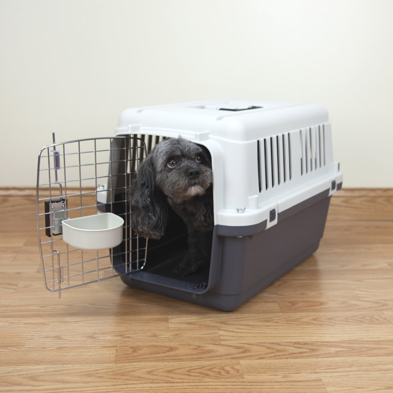 Caisse pour animaux Hosier