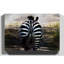 Zebra Rear - Wrapped Canvas-19093087