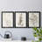" Neutral Botanical Study IV " 3 - Pieces-1985761735-1985761733