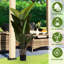 Banane de 5,2 pieds de hauteur, 2 pièces, pour l'intérieur et l'extérieur, 12 feuilles, taille 63, arbre tropical, plastique, décoration,