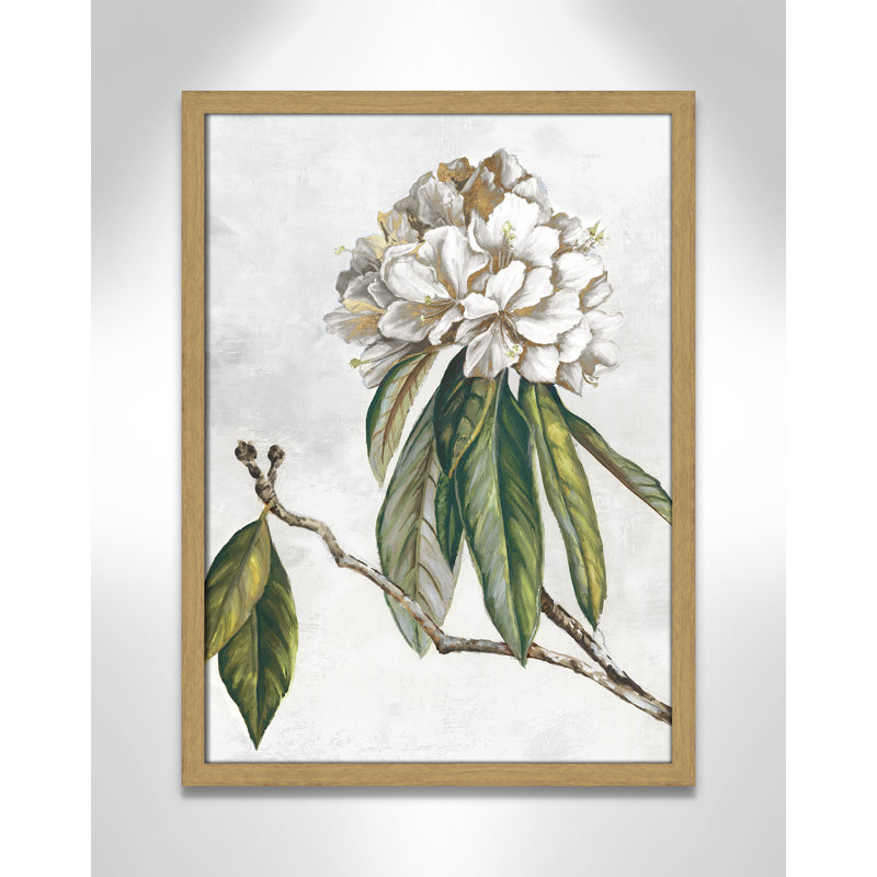 «Pearly Beauty II» par Eva Watts, Grain de bois naturel, L 17 po x H 23 po, Impression encadrée