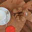 XMAS Capsule Cotton Blend Novelty Placemat