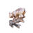 Bobcat Going Down a Tree Log Bronze Statue -  Size: 43"L x 25"W x 41"H. 