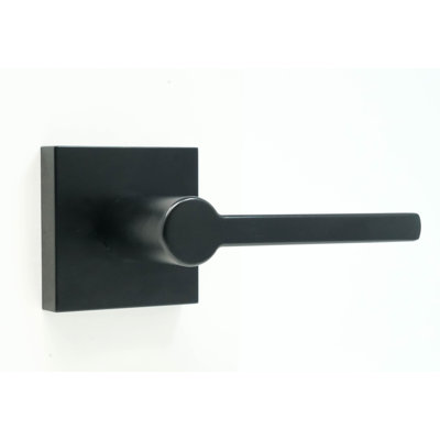 Brady Passage (Hall & Closet) Door Lever