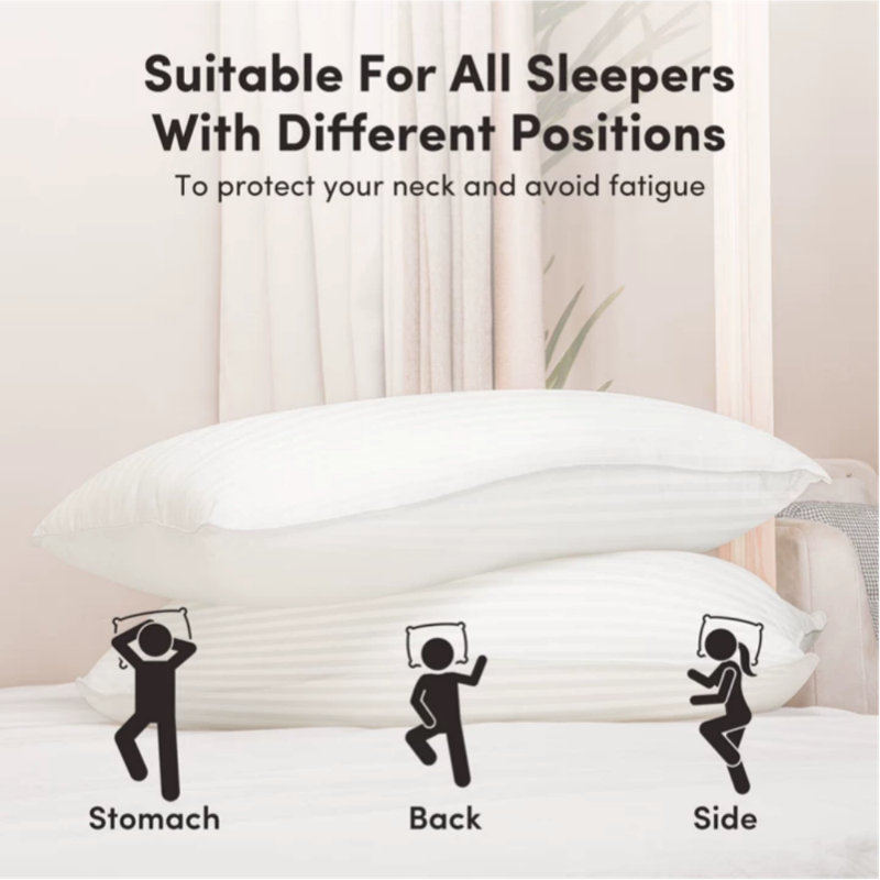 Oreiller Sleep by Wayfair™ en duvet, Grand lit, Luxueux