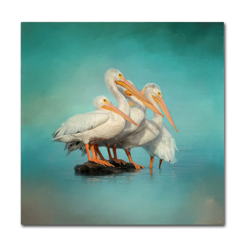 «We Are Family White Pelicans», impression sur toile tendue Vidur, H 24 po x l 24 po