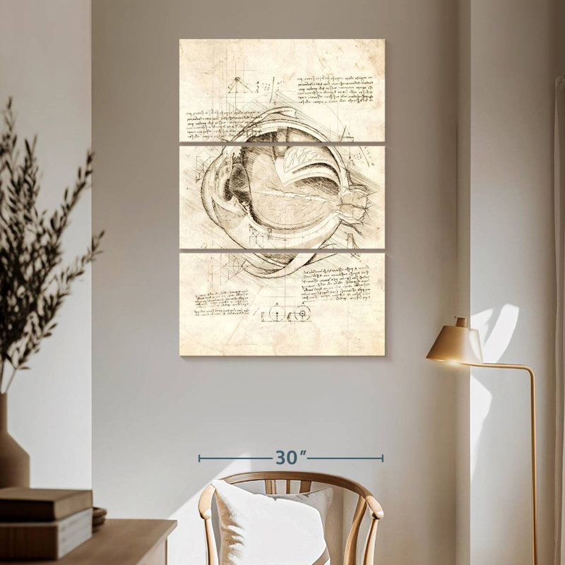 Keiri Human Eye Anatomy, 65" H x 42" W