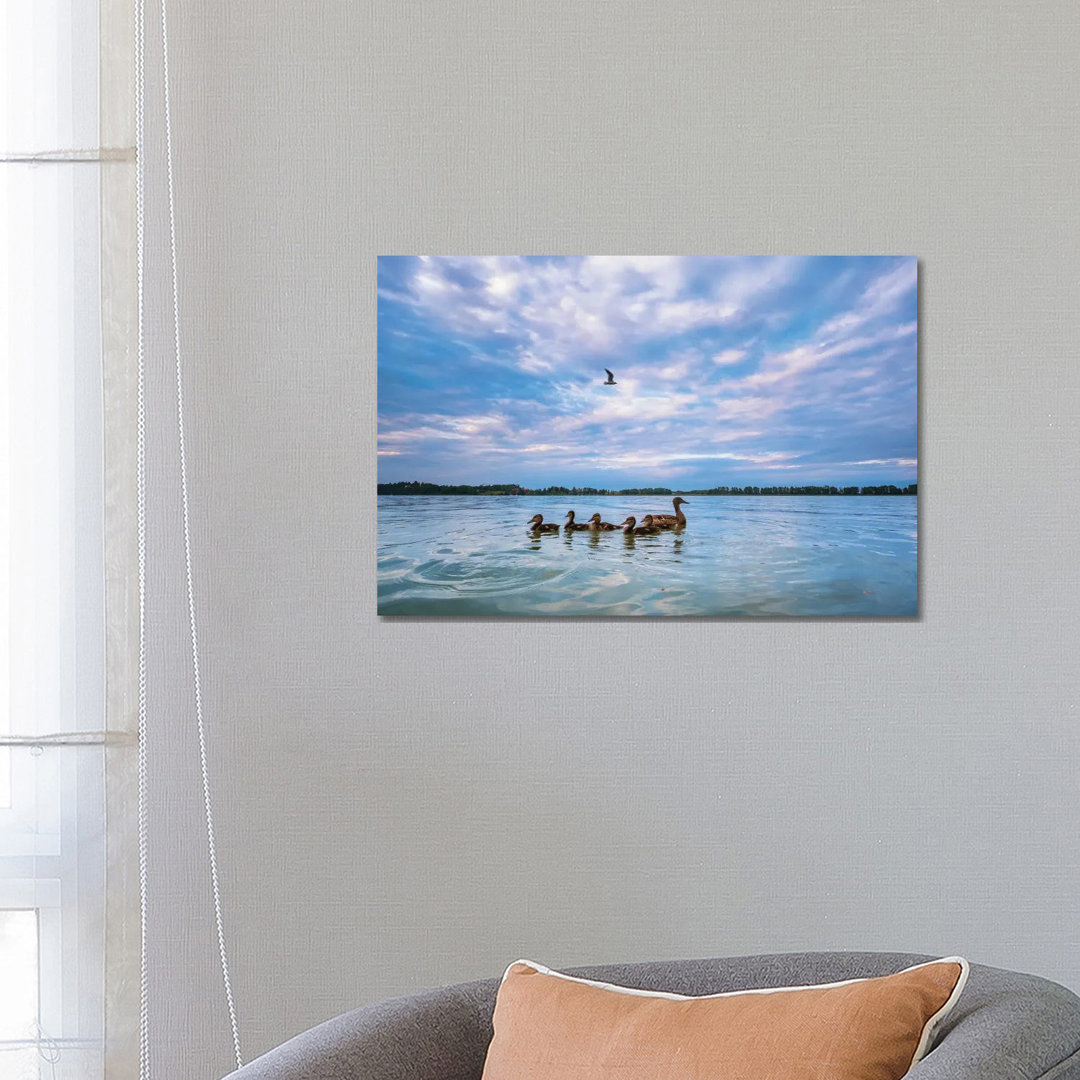 Mallard Ducks by Mateusz Piesiak - Wrapped Canvas Gallery-Wrapped Canvas Giclée