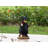 Gnomes in Trouble with Bear Garden Statue