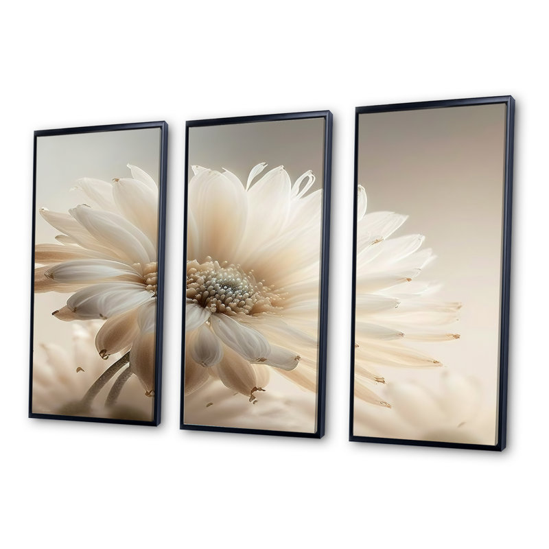 «White Gerbera Flowers III», reproduction sur toile 3 pièces, Cadre noir, H 28 po x l 36 po x P 1 po