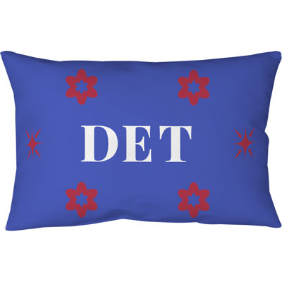 Coussin intérieur / extérieur Detroit Basketball Colors 20 po x 14 po