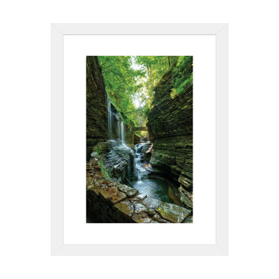 " Rickets Glen " by David Gardiner