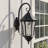 Aniha Solar Wall Sconce Lantern with Warm White LED Bulb