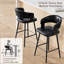 Dining Chair-809743312-809743315