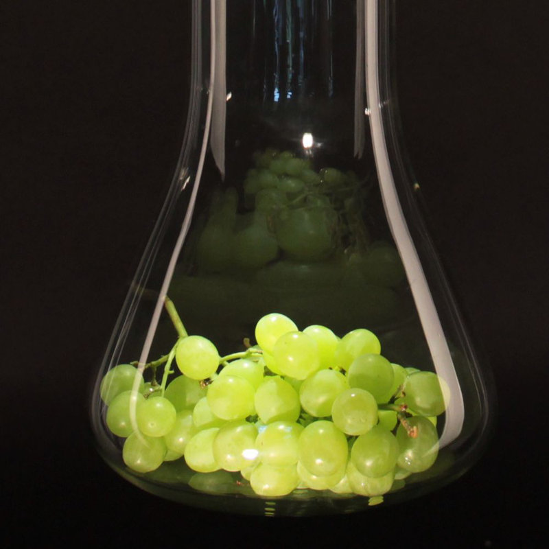 Mylight 1 -Light Flask Pendant