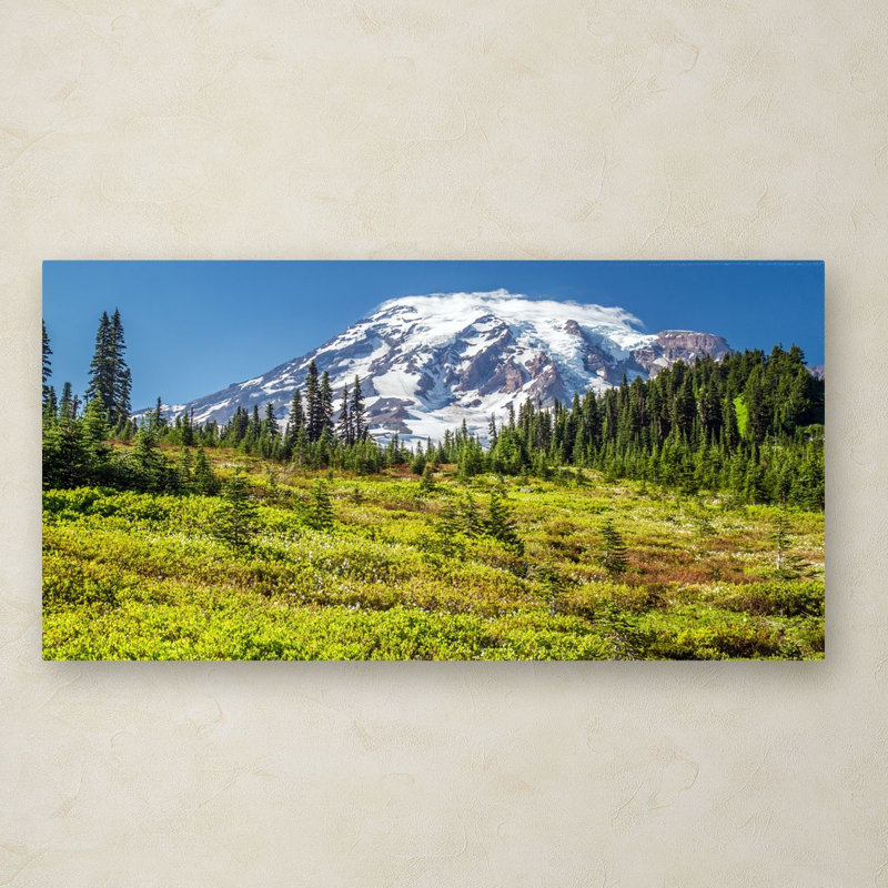 «Iovita Mount Rainier Meadow» par Pierre Leclerc - reproduction de photo sur toile tendue, H 24 po x l 47 po x P 2 po