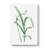 Peruvian Daffodil Flower by Pierre-Joseph Redoute - Wrapped Canvas Print-55366634