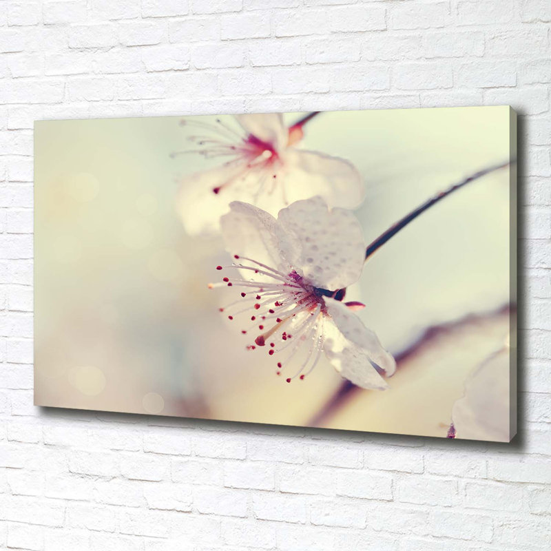 Cherry Blossom - Wrapped Canvas Print