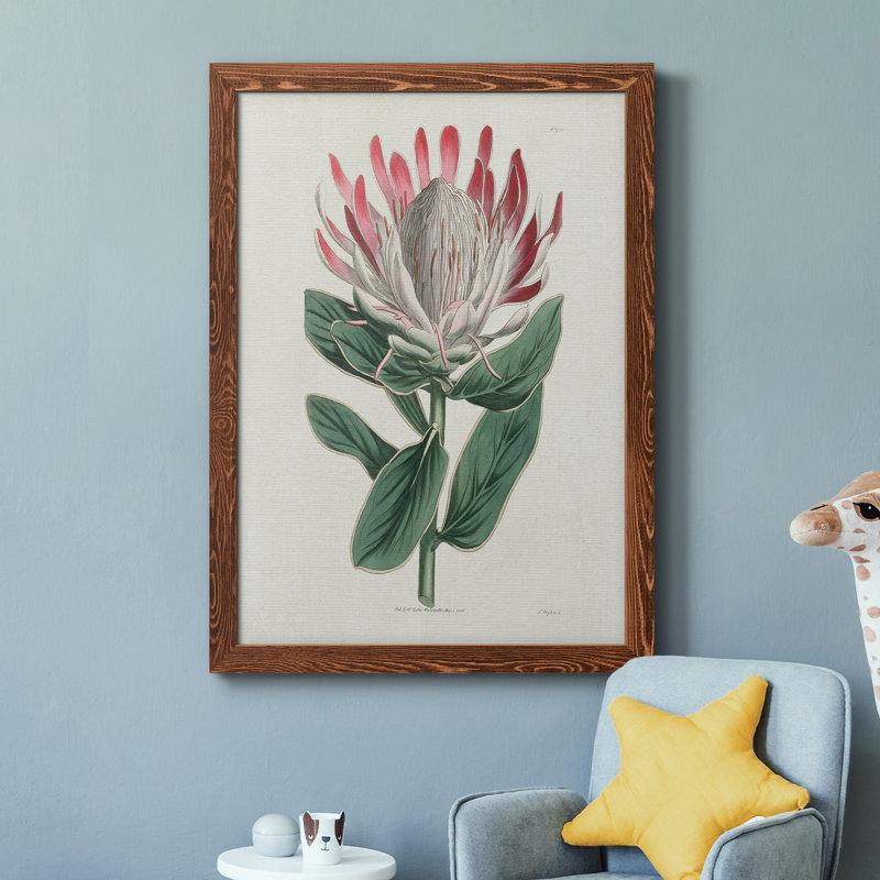 Protea N13 - Peinture sur toile encadrée, H 44 po x l 31 po x P 1 po, Érable