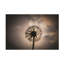 Art sur toile, "irlandais pudique"-105644822
