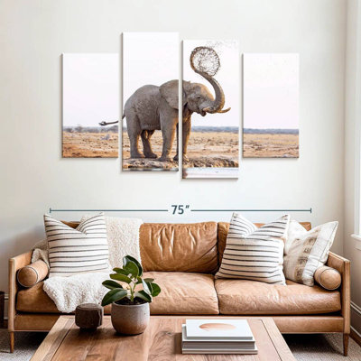 Elephant Mud Splash