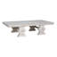 Suzu Coffee Table