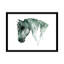 Art du cheval-49795695-49795700