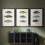 Antique Fish Trio I - Impression personnalisée de qualité supérieure avec cadre mat - 3 pièces-1766832623-1766832622